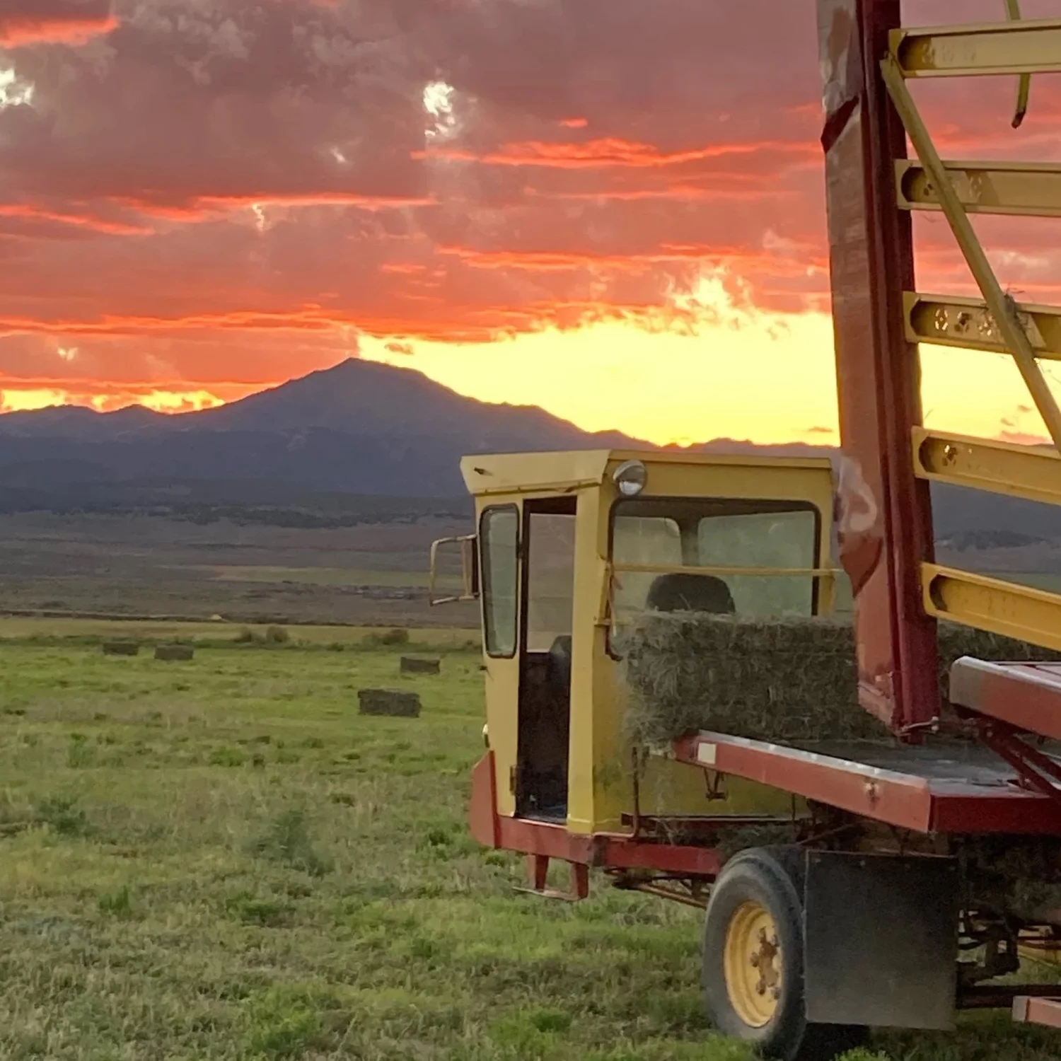 A yellow bale wagon picking up hay bales at sunset, mountains on the horizon