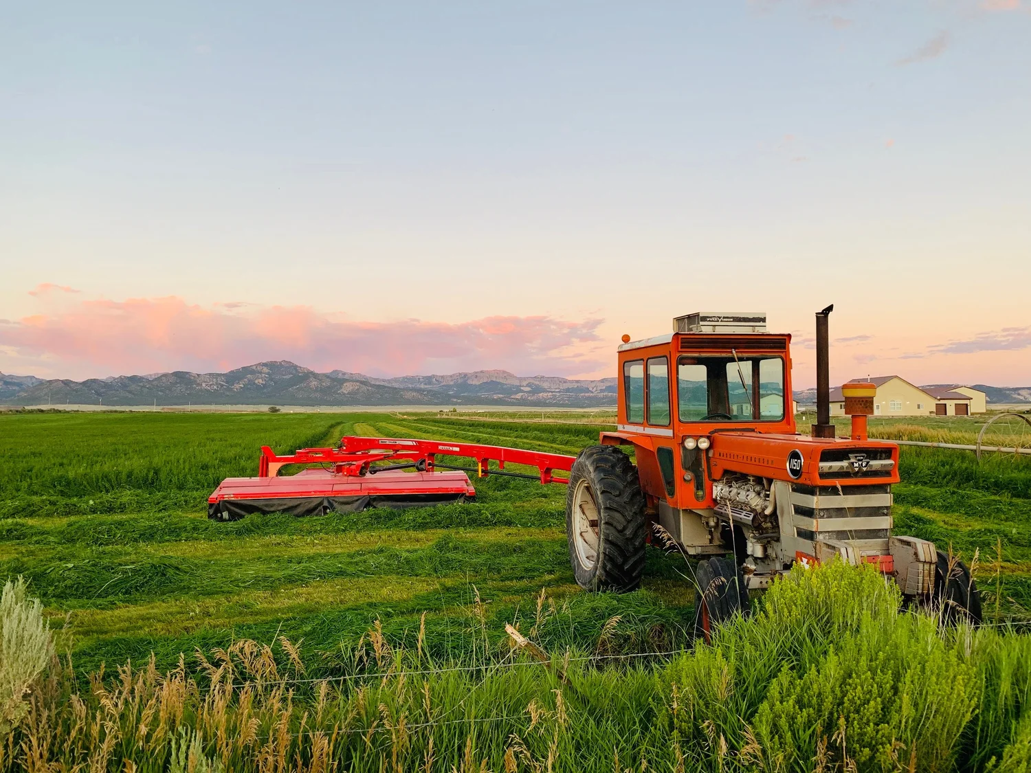A red Massey Ferguson tractor and swather in fresh-cut alfalfa at dusk, mountains on the horizon